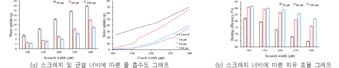 자기치유 코팅재의 하도재 도포 두께에 따른 물 흡수도와 치유 효율