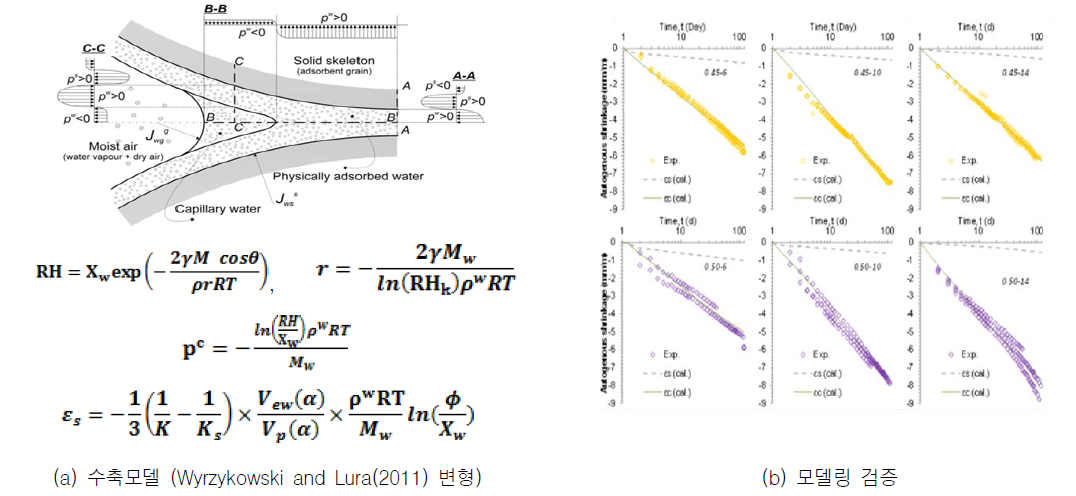 미세구조 상 모세관압을 고려한 수축모델 및 모델링 계산 결과 검증