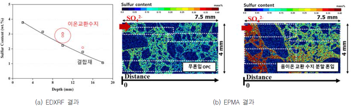 Na2SO4 수용액 침지 실험 후, 음이온 교환 수지 혼입 모르타르의 EDXRF와 EPMA 결과