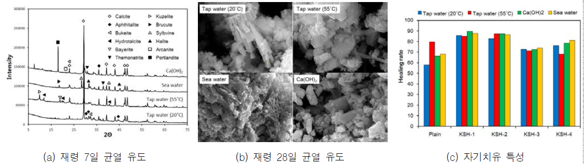 환경 조건에 따른 자기치유 특성 분석