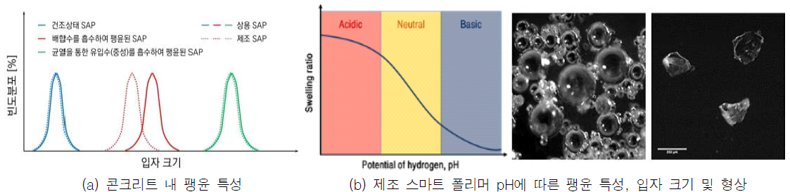 상용 및 제조 스마트 폴리머의 팽윤 특성 및 제조 스마트 폴리머 형상