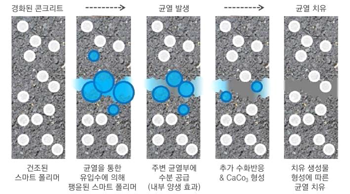 스마트 폴리머 장기 균열 자기치유 메커니즘