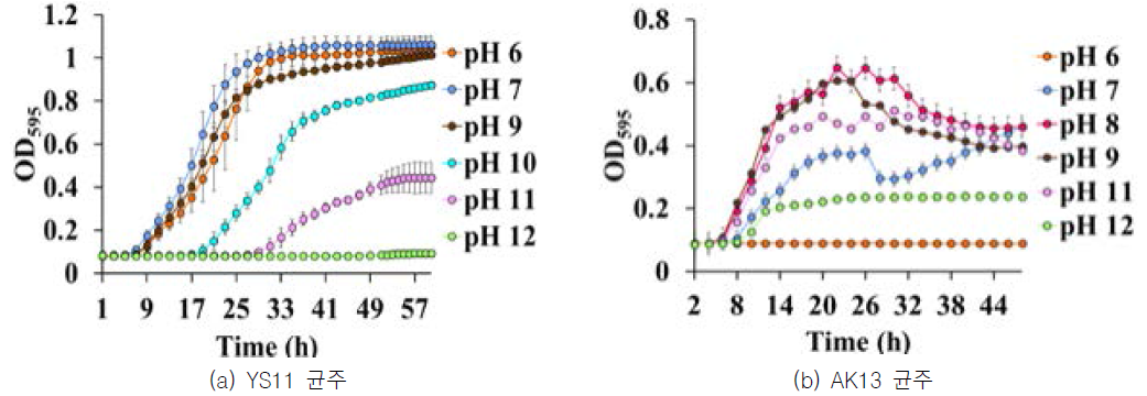 최종 분리 균주의 pH별 생장 곡선
