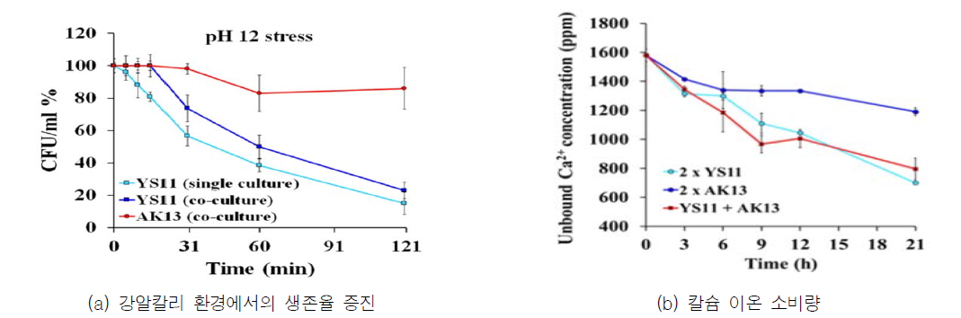 혼합 배양 시 박테리아 생존율 및 칼슘 이온 소비량 추이