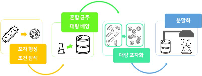 혼합 균주 포자 대량 생산 과정