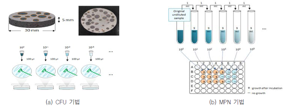 CFU 및 MPN 기법 모식도