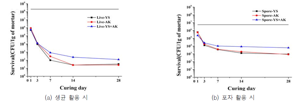혼합 배양 박테리아의 포자 활용 시 생존율 변화