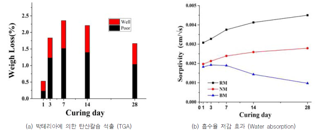 박테리아 직접 혼입 시 모르타르의 변화