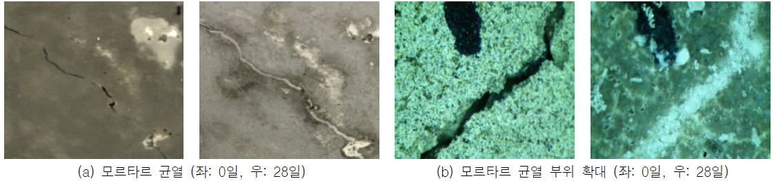 펠렛 혼입 모르타르의 균열 외부 관찰