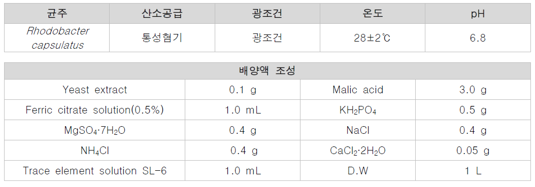 글라이코 캘릭스 형성 박테리아의 최적 배양 조건