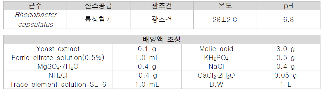 글라이코 캘릭스 형성 박테리아의 최적 배양 조건