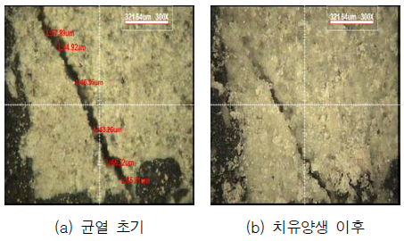 균열면 관찰(치유재령 28일, Plain)