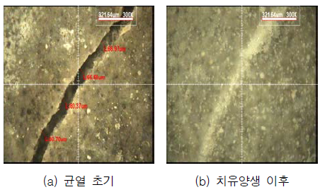 균열면 관찰(치유재령 28일, SHSC)