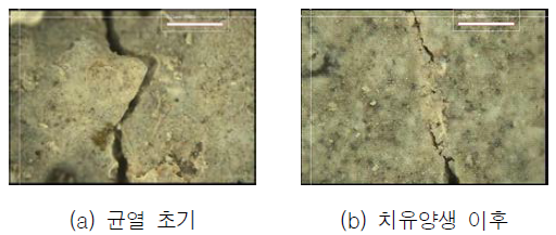 균열면 관찰(치유재령 28일, Plain)