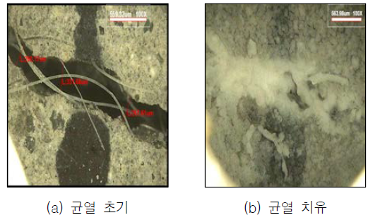 균열폭 0.25 mm(치유재령 28일)