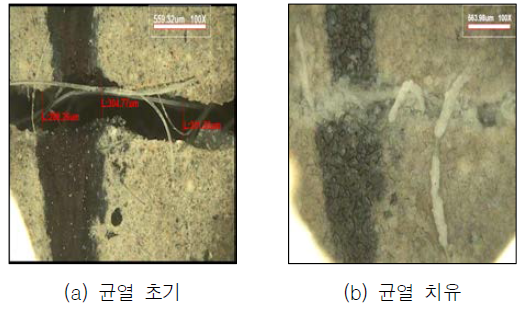 균열폭 0.30 mm(치유재령 28일)