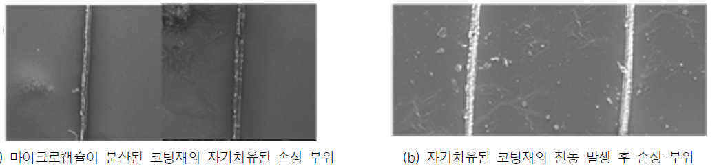 자기치유 코팅재의 손상 부위에 대한 SEM 사진