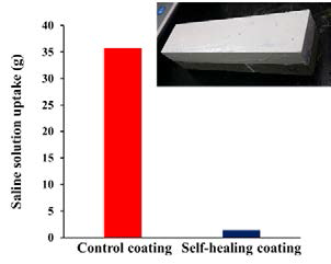 자기치유 코팅재가 도포된 모르타르의 –20℃에서의 NaCl 수용액 흡수도