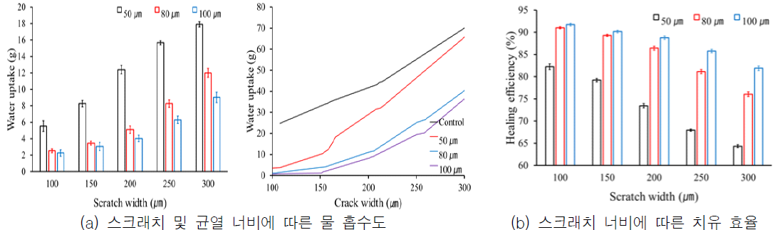 자기치유 코팅재의 하도재 도포 두께에 따른 물 흡수도와 치유 효율