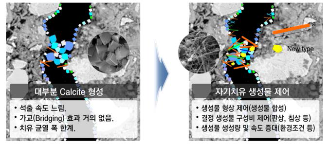 자기치유 생성물의 형상 제어를 통한 자기치유 성능 향상 기술 (개념도)