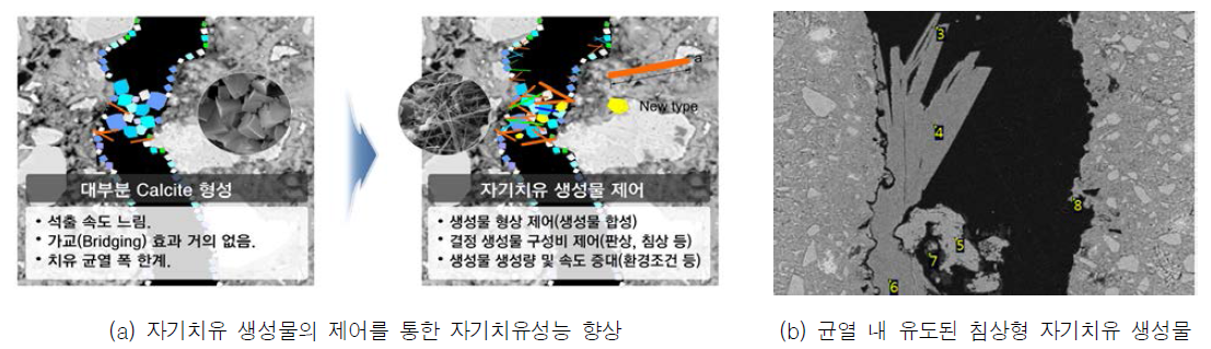 무기계 혼합재료 활용 자기치유 콘크리트 기술 개요