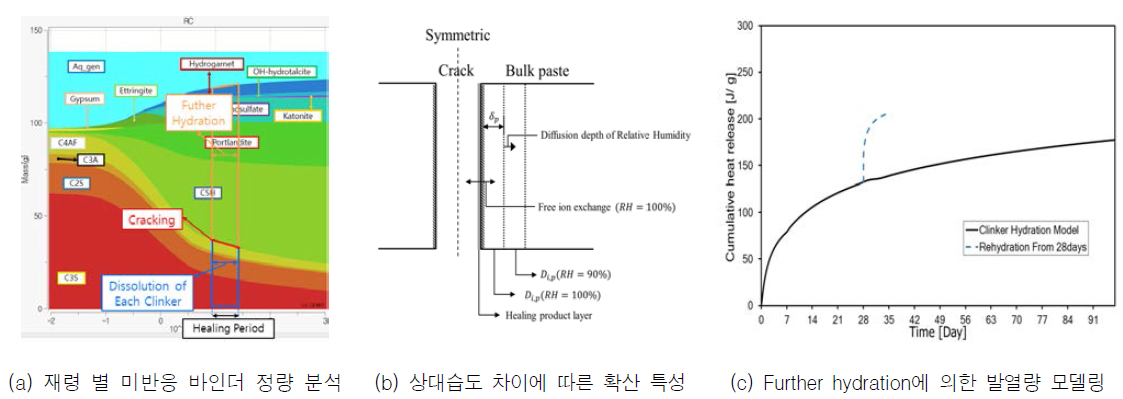 균열면에서의 자기치유 모델링을 위한 수화 반응 모델 및 이온 확산 모델