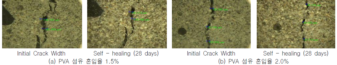 PVA 섬유 혼입율에 따른 균열 제어 및 자기치유성능 평가