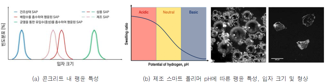 상용 및 제조 스마트 폴리머의 팽윤 특성 및 제조 스마트 폴리머 형상