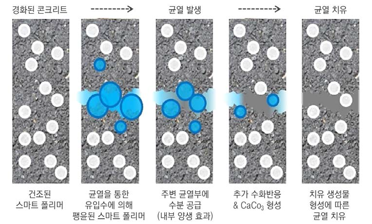 스마트 폴리머 장기 균열 자기치유 메커니즘