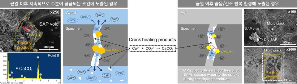 균열 이후 노출 환경에 따른 스마트 폴리머의 장기 자기치유 특성