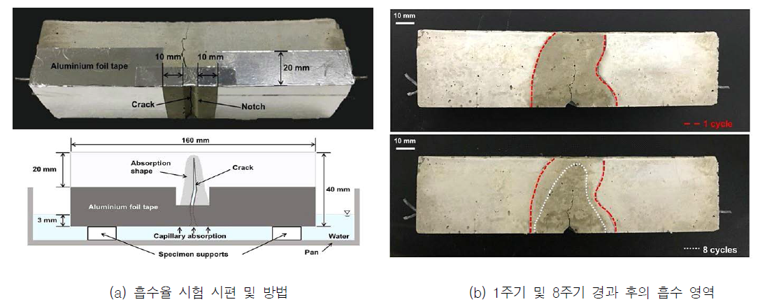흡수율 시험 개요 및 습윤/건조 반복에 따른 균열을 통한 흡수 영역 변화