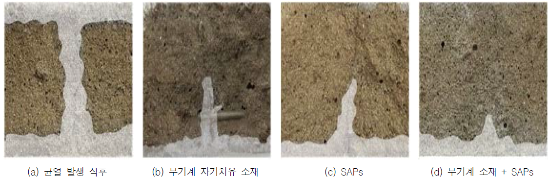 SAPs와 무기계 자기치유 소재의 혼입에 따른 염소이온 침투 저항성 평가