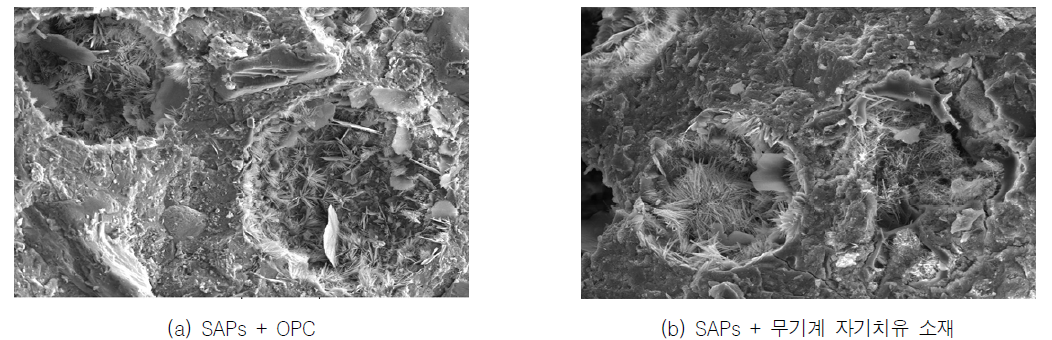 SEM을 통한 SAPs 주변의 자기치유 생성물 분석
