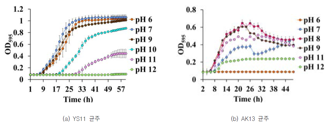 최종 분리 균주의 pH별 생장 곡선