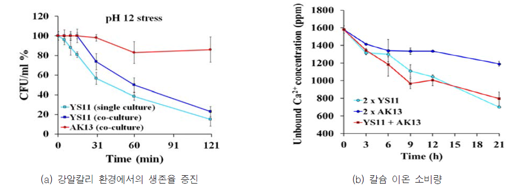 혼합 배양 시 박테리아 생존율 및 칼슘 이온 소비량 추이