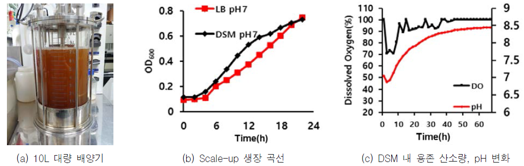 10L 배양기 내 혼합 균주 생장 곡선 및 산소 포화도, pH 변화 확인