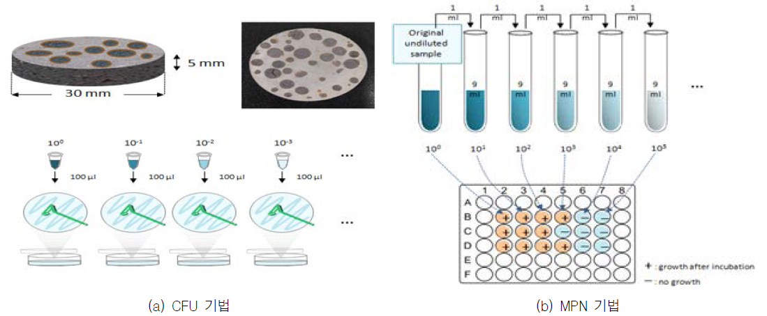 CFU 및 MPN 기법 모식도