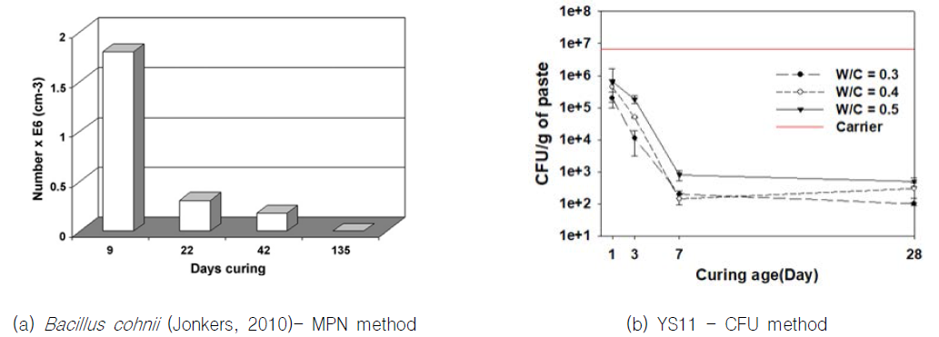 해외 주요 균주와 YS11의 시멘트 복합체 내부 생존율 비교