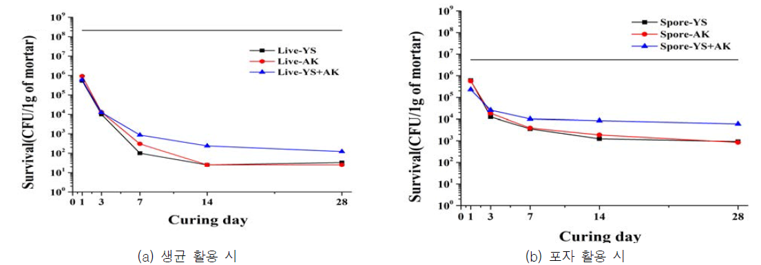 혼합 배양 박테리아의 포자 활용 시 생존율 변화