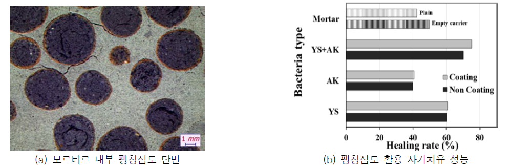 팽창 담체 활용 자기치유 성능 검증