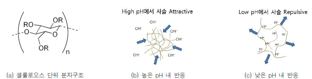 셀룰로오스의 pH 반응성