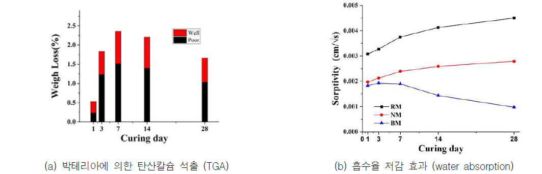 박테리아 직접 혼입 시 모르타르의 변화