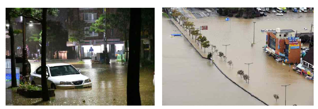 태풍으로 인한 과거 삼척시 홍수 피해