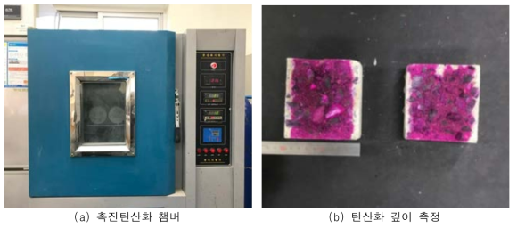 촉진 탄산화 챔버 및 탄산화 깊이 측정