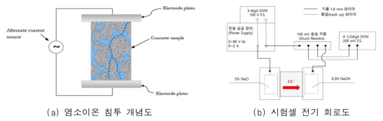 염소이온 침투 개념 및 전기 회로도