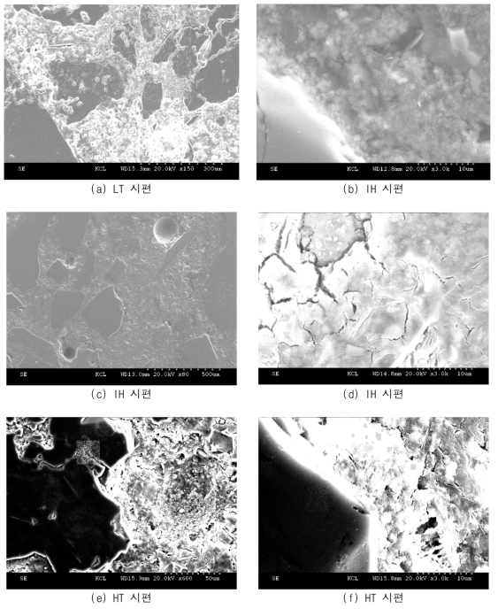 LTC, IHC, HTC 시편의 SEM 사진