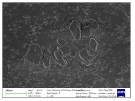 A1 Ultrafine test dust SEM 이미지