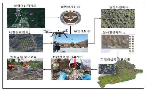 무인기 소나무재선충 탐지