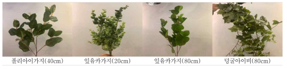 식재 조화 종류