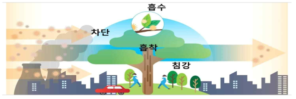 숲과 나무에 의한 미세먼지 저감 메커니즘 * 출처: 국립산림과학원 도시숲연구센터, 미세먼지 대응하는 도시숲 조성과 관리방안